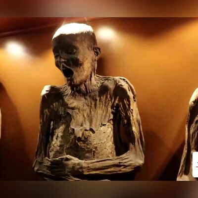 (فیلم) مخوف ترین رویداد تاریخ!/ موزه مومیایی‌ها در جهان که سرنوشتی هولناک را از دل تاریخ روایت می‌کنند!/چرا با دهان باز مومیایی شده اند!؟