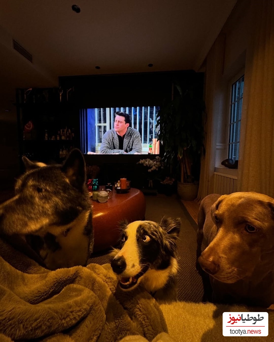 منزل هانده ارچل