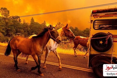 ویدیویی آخرالزمانی از بزرگترین و وحشتناکترین آتش‌سوزی جنگلی سال جاری در کالیفرنیا