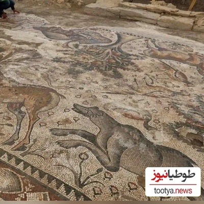 بهشت موزاییکی در زیر مزرعه‌ی کشاورز ترکیه‌ای کشف شد؛ چقدم سالم و تمیز مونده  (+عکس)