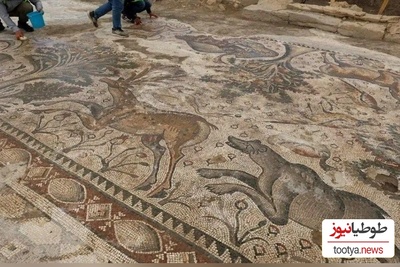 بهشت موزاییکی در زیر مزرعه‌ی کشاورز ترکیه‌ای کشف شد؛ چقدم سالم و تمیز مونده  (+عکس)