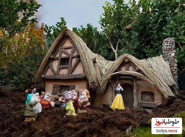 خانه هایی به شکل دیزنی لند