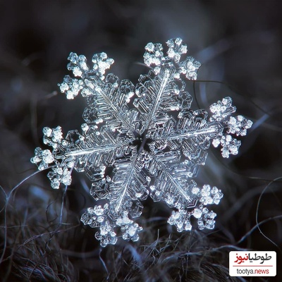 (ویدیو) تصاویر بینظیر و شگفت‌انگیز از دانه‌های زیبای برف در زیر میکروسکوپ