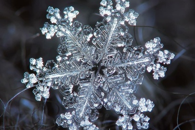 (ویدیو) تصاویر بینظیر و شگفت‌انگیز از دانه‌های زیبای برف در زیر میکروسکوپ