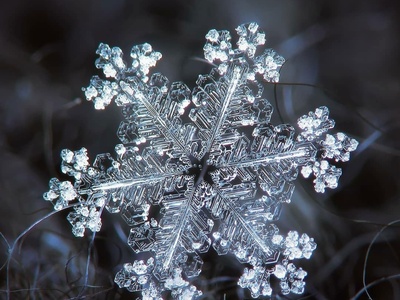 (ویدیو) تصاویر بینظیر و شگفت‌انگیز از دانه‌های زیبای برف در زیر میکروسکوپ