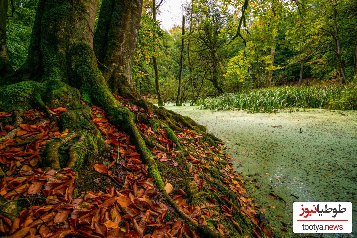  مرداب دیوک؛ ایران