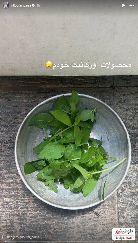 محصولات باغچه نیلوفر پارسا