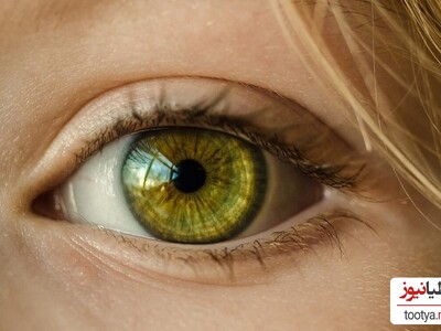 (فیلم) کمیاب ترین رنگ چشم جهان چه رنگی هستند؟! / زیبایی این رنگ چشم ها همه رو به خودشون خیره می کنند😍