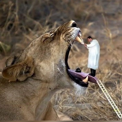 عکس های فتوشاپ شده که برنده خنده دارترین تصاویر سال دنیا شدند