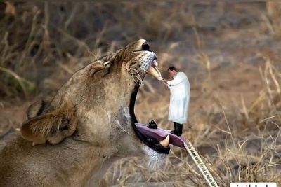 عکس های فتوشاپ شده که برنده خنده دارترین تصاویر سال دنیا شدند