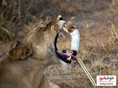 عکس های فتوشاپ شده که برنده خنده دارترین تصاویر سال دنیا شدند