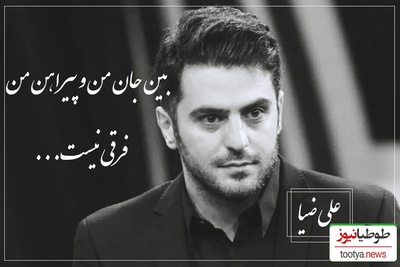 (فیلم) سروده ای عاشقانه از کاظم بهمنی با صدای بغض آلود علی ضیا/ گاهی یه بیت شعر می‌تونه آدم رو تا حد جنون برسونه/ دانلود آهنگ از  حامد نیک