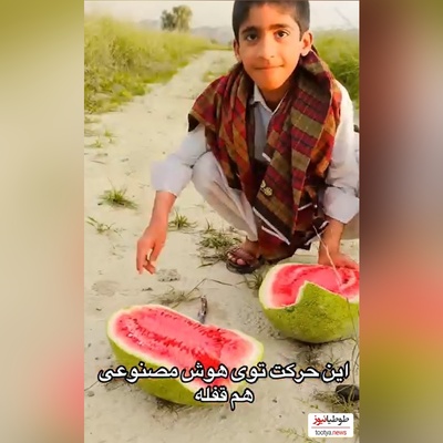 خلاقیت خنده‌دار پسر زاهدانی در برش هندوانه تاریخ ساز شد/بفرما تکنولوژی وطنی😂
