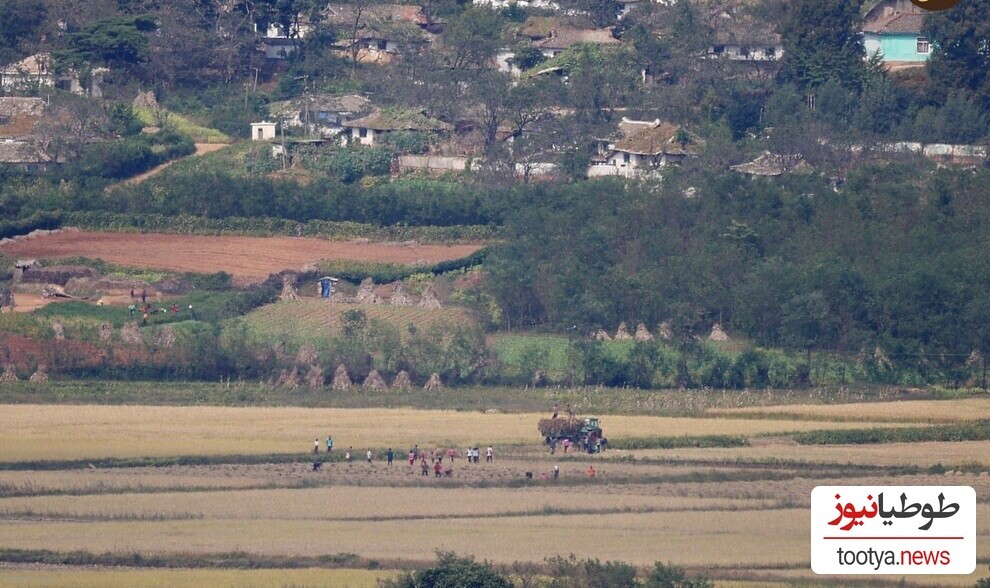 کره شمالی