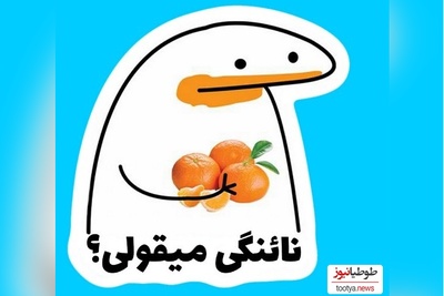 خلاقیت تحسین‌برانگیز اوستا قناد تهرانی در تزئین کیک با الهام از استیکر میقولی ویژه پریا پرتوی، حماسه ساز شد / دیگه نمیتونی بقولی😂