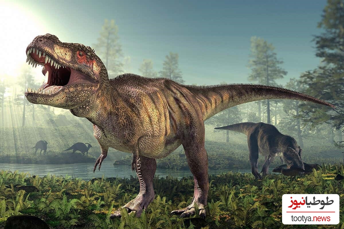 (ویدئو) کشف عجیب فسیل دایناسور 233 میلیون ساله در پی بارش های سیل آسا