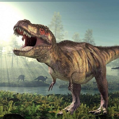 (ویدئو) کشف عجیب فسیل دایناسور 233 میلیون ساله در پی بارش های سیل آسا