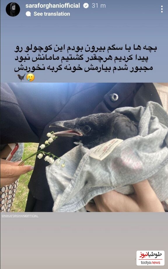 پرنده
