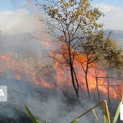 جنگل های لرستان در آتش سوخت!/واکنش تند بازیگران و سلبریتی ها به آتش سوزی جنگل های زاگرس