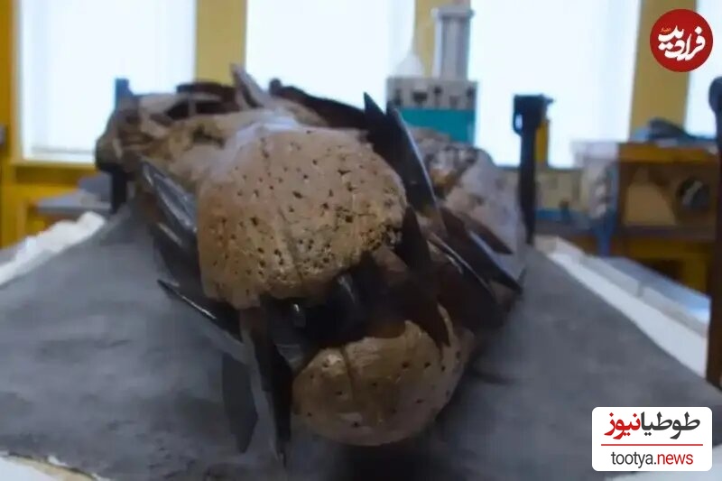 اسکلت