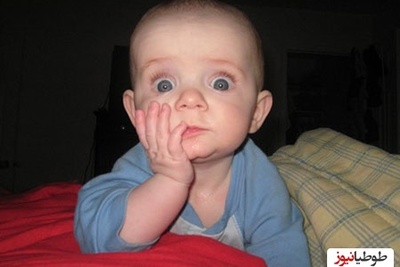 (فیلم) این بچه دو تا بابا داره!؟ / حیوونکی خیلی گیج شده