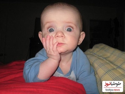 (فیلم) این بچه دو تا بابا داره!؟ / حیوونکی خیلی گیج شده