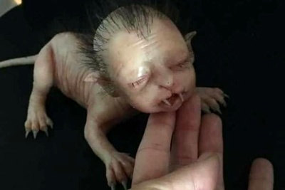 تولد نوزاد 4 پای عجیب الخلقه نیمه انسان و نیمه حیوان! از حکمت خدا نمیشه ساده رد شد!