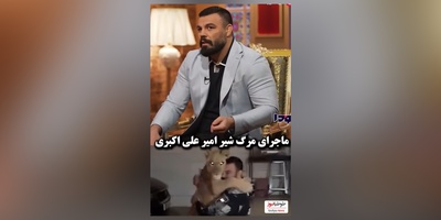 ویدئو/امیر علی‌اکبری جای شیر من تو خونه بهتر از باغ وحش بود که کشته شد/ کامران نجف زاده: میگن یه الاغ جُفتک زده اون شیر نر رو کشته😂/