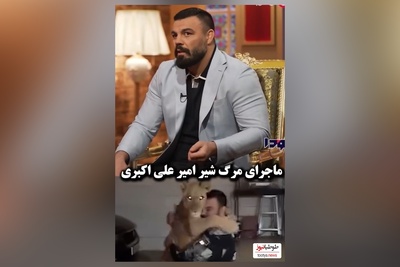 ویدئو/امیر علی‌اکبری جای شیر من تو خونه بهتر از باغ وحش بود که کشته شد/ کامران نجف زاده: میگن یه الاغ جُفتک زده اون شیر نر رو کشته😂/