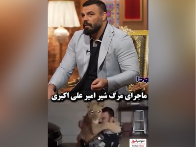 ویدئو/امیر علی‌اکبری جای شیر من تو خونه بهتر از باغ وحش بود که کشته شد/ کامران نجف زاده: میگن یه الاغ جُفتک زده اون شیر نر رو کشته😂/