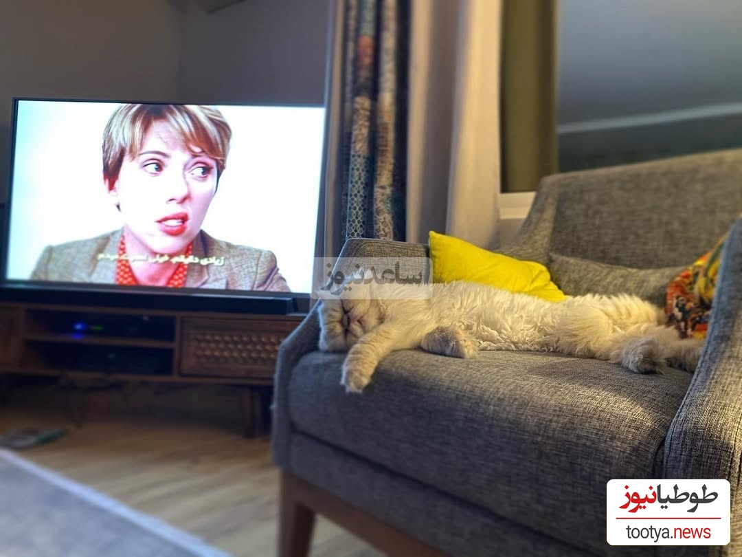 چیدمان منزل علی اوجی و نرگس محمدی