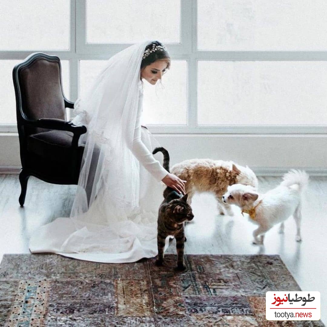 پیمان قاسم خانی