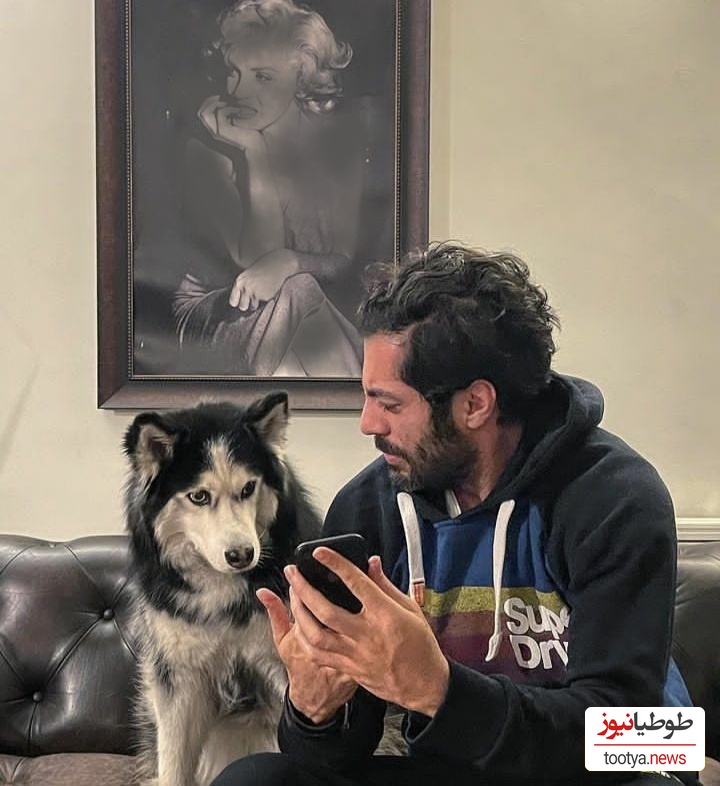 نوید پورفرج