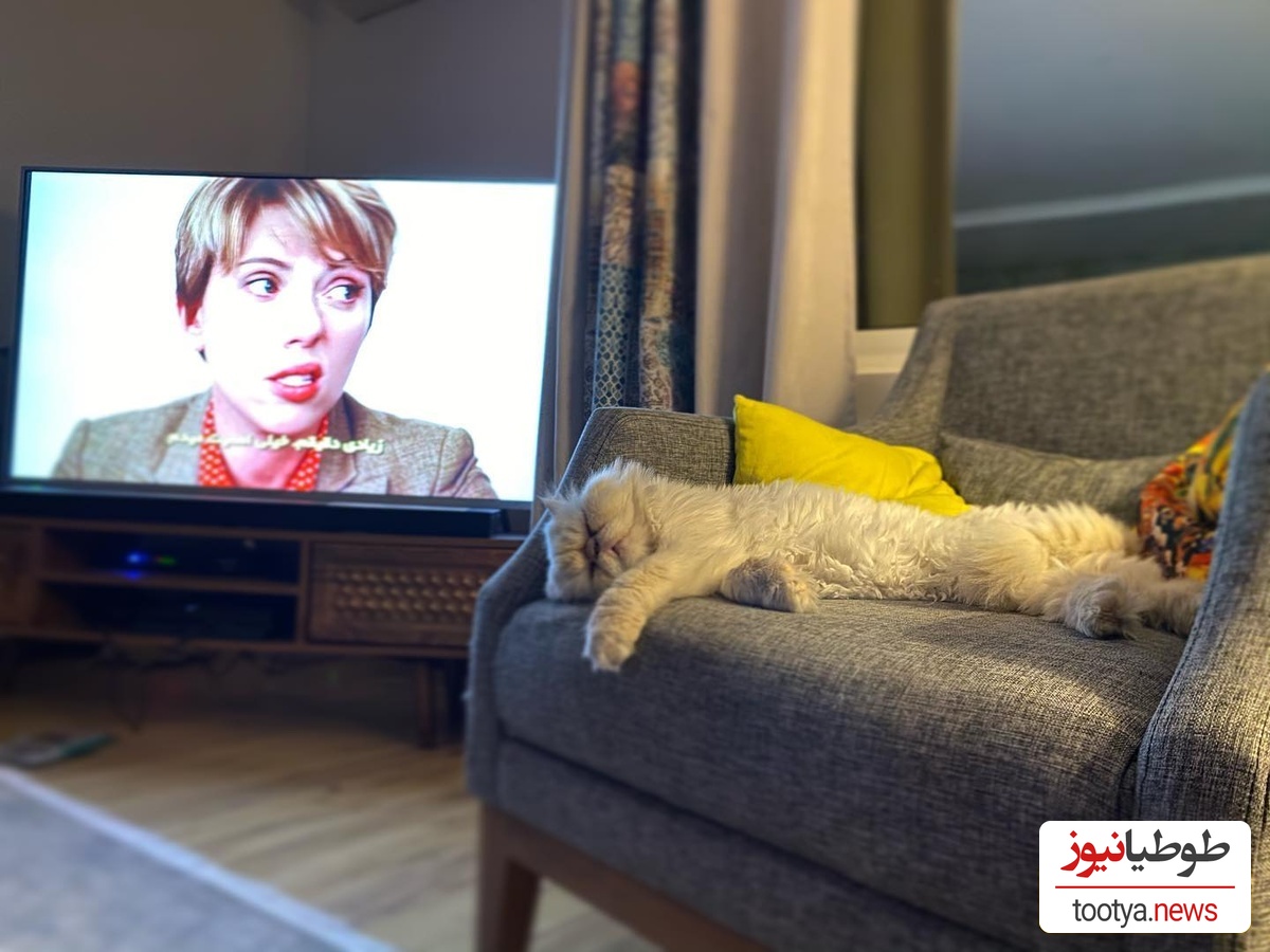 منزل علی اوجی