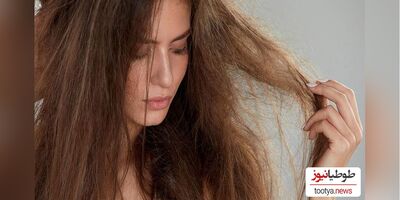 درمان خشکی مو با راهکارهای خانگی / موهای خود را ابریشمی کنید !