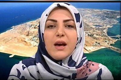 تودهنی المیرا شریفی مقدم به گنده گویی اروپا در مورد جزایر سه گانه + ویدئو / شما غلط میکنید!