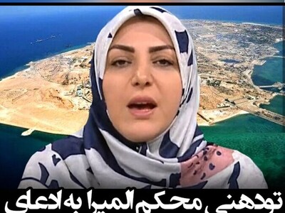 تودهنی المیرا شریفی مقدم به گنده گویی اروپا در مورد جزایر سه گانه + ویدئو / شما غلط میکنید!