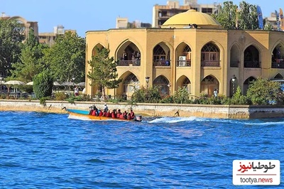 جادوی دست یک هنرمند تبریزی در ائل‌گلی؛ درختان بی‌روح حالا به مجسمه‌هایی تماشایی تبدیل شده‌اند+عکس