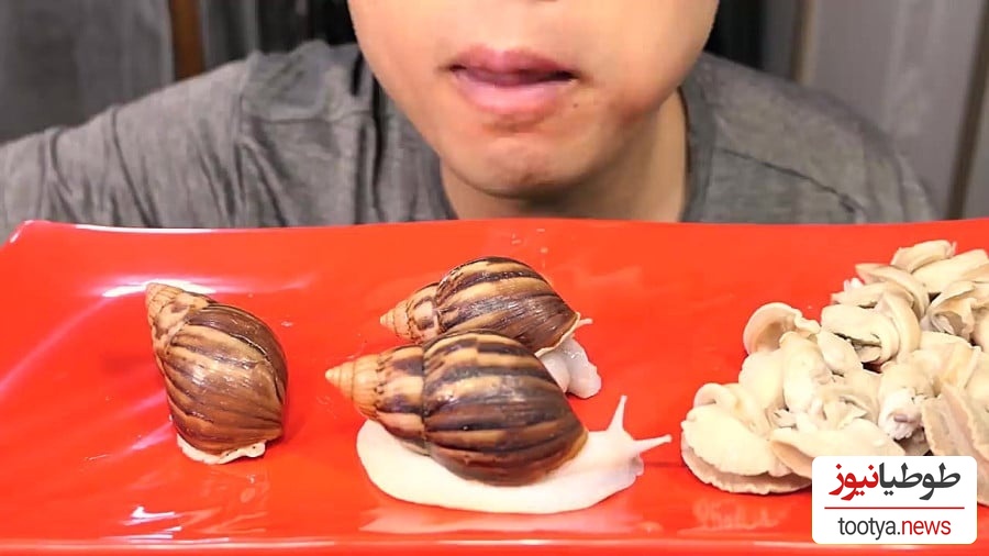 (ویدیو) پسری که جان خود را در بازی جرات و حقیقت از دست داد/ چه کسی فکرش را می‌کرد یک حلزون اینقدر خطرناک باشد؟!