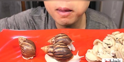 (ویدیو) پسری که جان خود را در بازی جرات و حقیقت از دست داد/ چه کسی فکرش را می‌کرد یک حلزون اینقدر خطرناک باشد؟!