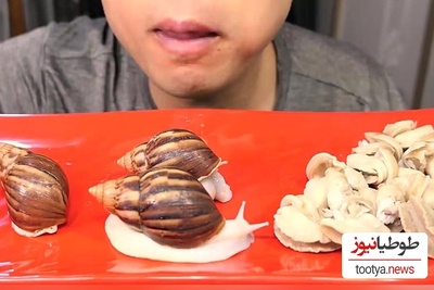 (ویدیو) پسری که جان خود را در بازی جرات و حقیقت از دست داد/ چه کسی فکرش را می‌کرد یک حلزون اینقدر خطرناک باشد؟!