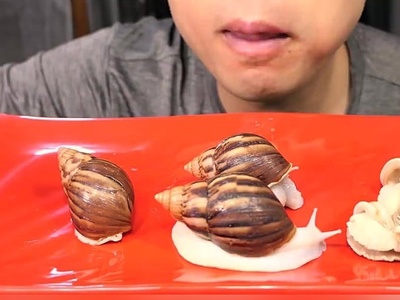 (ویدیو) پسری که جان خود را در بازی جرات و حقیقت از دست داد/ چه کسی فکرش را می‌کرد یک حلزون اینقدر خطرناک باشد؟!