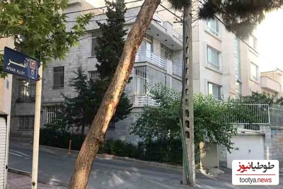 شاهکار خنده‌دار کارگران خلاق در آسفالت کردن دورِ درخت و ریختن خاک دور تیر چراغ برق برای رشد کردن تیر!+ویدیو