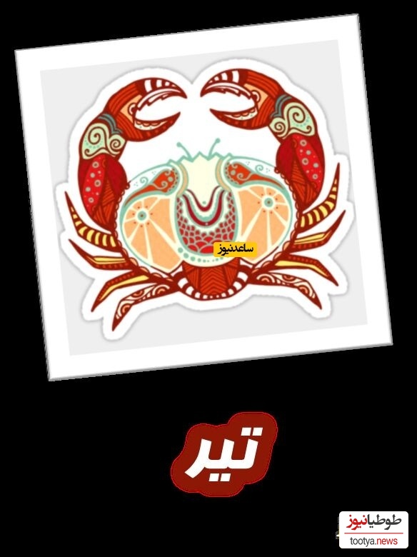 تیر