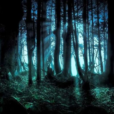 (فیلم) کشف دیوانه وارترین چیزهایی که جنگل ها به خودشون دیدند / دنیا رفته رفته ترسناکتر میشه! 😱