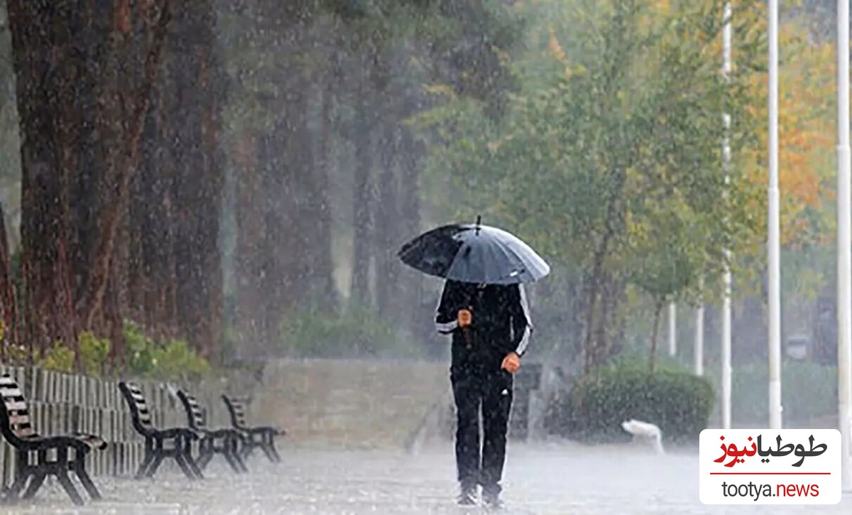 (عکس)حقایق مهم درباره باران و دانستنی های جالب