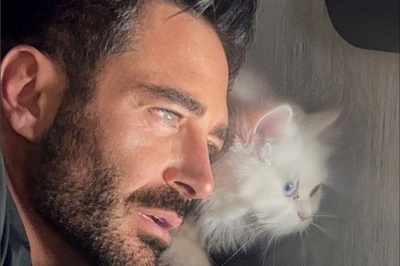 (عکس) شباهت عجیب رنگ چشم محمدرضا گلزار و گربه اش / لاکچری بازی آقای سوپراستار کم بود ست کردن رنگ چشم هم اضافه شد!