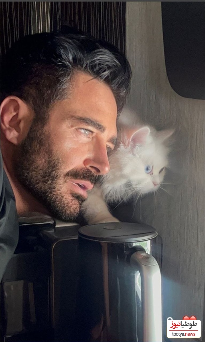 (عکس) شباهت عجیب رنگ چشم محمدرضا گلزار و گربه اش / لاکچری بازی آقای سوپراستار کم بود ست کردن رنگ چشم هم اضافه شد!