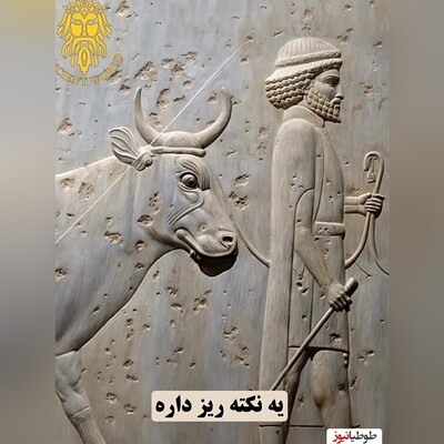 (ویدئو) تمدن و فرهنگ ایران در 2500 سال پیش/ نکته های ریز سنگ نگاره های تخت جمشید