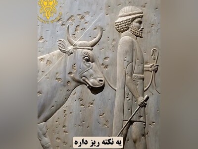 (ویدئو) تمدن و فرهنگ ایران در 2500 سال پیش/ نکته های ریز سنگ نگاره های تخت جمشید